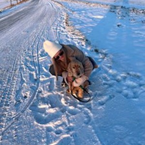 petsitter Praha nebo Páníček pro Psi