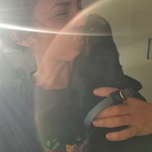 petsitter Opatovice nebo Páníček pro Psi Kočky