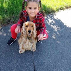 jaroslava - pet sitter psi Plzeň