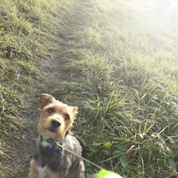 Mirka - pet sitter psi Praha 6