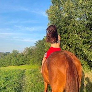 petsitter Praha nebo Páníček pro Psi Kočky