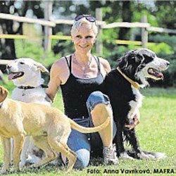 Ája - pet sitter dogs Lanžhot