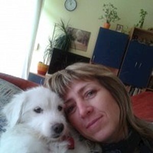 petsitter Ponětovice or Pet nanny for Dogs Cats 