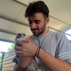 petsitter Praha nebo Páníček pro Psi