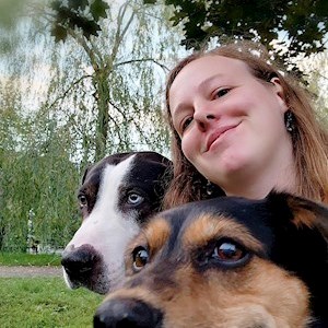 petsitter Praha 9 or Pet nanny for Dogs Cats