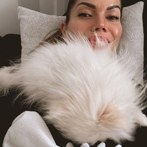 Sitting at owner dog in Prague  pet sitting request