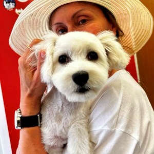 Ubytování pes v praha hlídací žádost