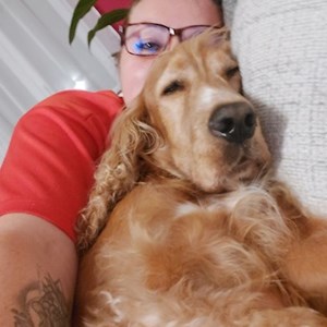 Boarding dog in Praha pet sitting request