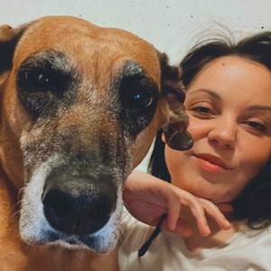 Jedna návštěva pes v Brno hlídací žádost