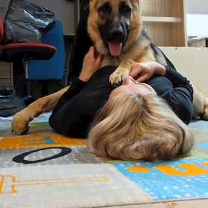 Ubytování pes v Zásada hlídací žádost