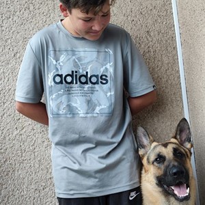 Psí Venčení pes v Zásada hlídací žádost