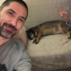 Ubytování pes v  hlídací žádost