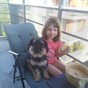 Boarding dog in  pet sitting request